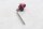 Oil dipstick, measuring rod, screw cap, engine cover (red) MZ Baghira MUZ660E 98-06