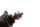 Leerlaufsteller Drosselklappenpotenziometer BMW K 1200 R K12R K43 0584 05-08