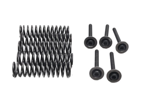 Clutch springs, screws, pressure plate set Suzuki GSX-R 1000 K1/K2 WVBL 01-02