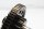 generatorns pinjongdrivhjul BMW K 100 RS 4 Ventiler K589 0523 89-92