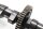 Nokkenasuitlaat, distributieas, tandwiel BMW K 1200 GT K44 K12S 0587 06-08