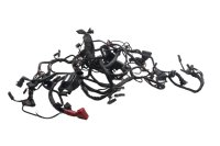 Mazo de cables, conjunto de cableado principal, sistema eléctrico, encendido BMW R 1200 GS K25 0307 R12 04-07