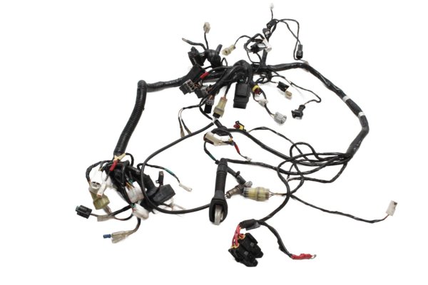 Kabelbaum Hauptleitungssatz Zündung Sicherung KTM Duke 690 690DUKE/12 12-13