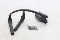 Zündspule Doppelzündung mit Zündkabel KF02 Kawasaki ZX-9R ZX900B 94-97