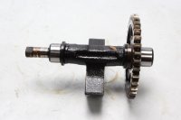 Arbre déquilibrage du vilebrequin KTM Duke 690...
