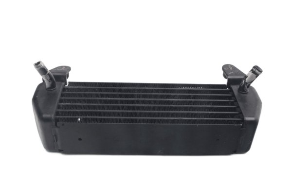 Ölkühler Öl Kühler Ölleitung Motorkühlung BMW R 1200 GS DOHC R12 K25 0450 10-12