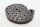 Distributieketting, kettingspanner, geleiderail Kawasaki ZR 7S ZR750F H 01-04