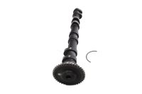 Arbre à cames, échappement, arbre de distribution, distribution, engrenage Kawasaki ZX-9R ZX900B 94-97