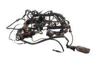 Faisceau de câbles principal, câbles, système électrique, unité de commande BMW R 1100 GS 259 0409 93-99