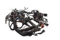 Faisceau de câbles principal, câbles, système électrique, unité de commande BMW R 1100 GS 259 0409 93-99