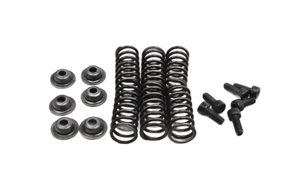 Clutch spring set, screws, plate, pressure plate Kawasaki ZX-9R ZX900B 94-97