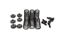 Clutch spring set, screws, plate, pressure plate Kawasaki...