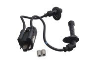 Bobine, dubbele bobine, ontstekingskabels Suzuki GSX 1200...