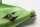 Side panel, front left, green Kawasaki ZR 7S ZR750F H 01-04