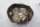 Venttiilikoppa vasen, sylinterikansi BMW R 1200 GS DOHC R12 K25 0450 10-12