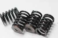 Clutch springs, screws, compression springs KTM Duke 690 690DUKE/12 12-13