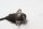 Bakre ABS-sensor, bromssensor BMW K 100 RS 4 Ventiler K589 0523 89-92