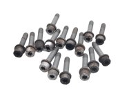 Motordekselschroevenset voorste zeskant Torx BMW R 1200 GS K25 0307 R12 04-07