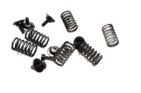 Clutch spring set, compression springs, clutch basket Kawasaki ZX-7R ZX750P 96-03