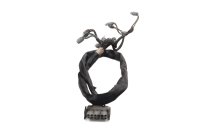 Kabelbaum Instrumentenbeleuchtung Tacho BMW R 1100 GS 259 0409 93-99