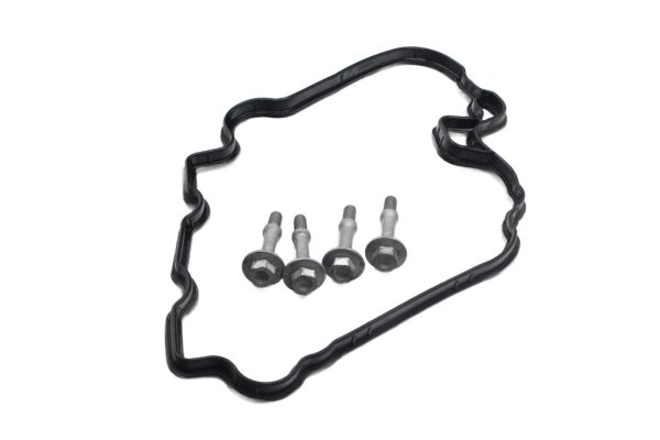 Venttiilikopan tiiviste ruuveilla, sylinterikansi KTM Duke 690 690DUKE/14 14-15