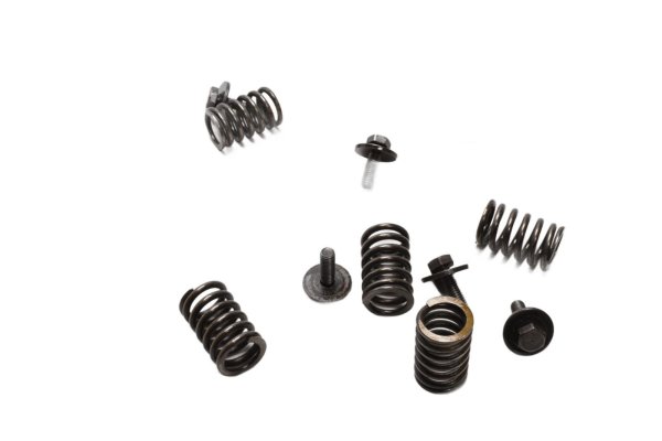Set di viti per la molla della frizione Kawasaki GPZ 750 R ZX750G 85-86