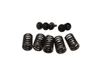Clutch spring set of screws Kawasaki GPZ 750 R ZX750G 85-86