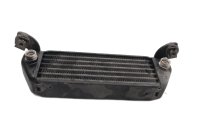 Oliekoeler, radiator, motorkoeling, frontlinie BMW R 1100 GS 259 0409 93-99