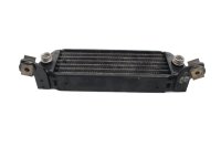 Oliekoeler, radiator, motorkoeling, frontlinie BMW R 1100 GS 259 0409 93-99