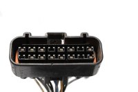 Mazo de cables principal, caja de fusibles, cable Kawasaki ZR 7S ZR750F H 01-04