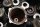 Culasse DOHC 16 soupapes, cache-culbuteurs Kawasaki GPZ 750 R ZX750G 85-86