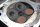 Culasse DOHC 16 soupapes, cache-culbuteurs Kawasaki GPZ 750 R ZX750G 85-86