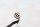 Ignition pulse generator sensor, Hall sensor, pulse generator, ignition KTM Duke 690 690DUKE 08-09
