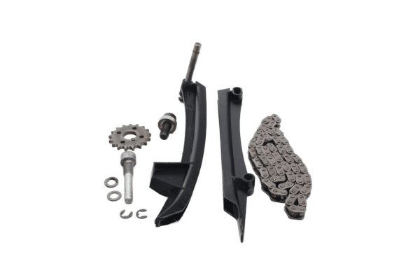 Steuerkettensatz Kettenspanner Führungsschiene BMW R 1150 GS R21 0415 99-04