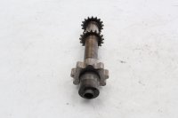 Oliepompas, tandwielas, olieaandrijfas BMW R 1100 GS 259 0409 93-99