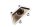 Ventilkåpa, ventilkåpa, höger sida 11012-1043 Kawasaki ZR 7S ZR750F H 01-04