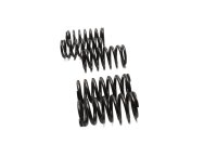 Clutch springs, screw set, clutch basket Kawasaki ZR 7S ZR750F H 01-04