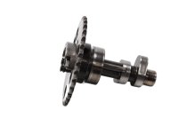 Arbre à cames, culbuteur, commande de la distribution, admission KTM Duke 690 690DUKE 08-09