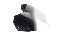 Windschild Scheibe Windscreen Verkleidung vorne BMW R 1100 GS 259 0409 93-99