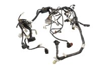 Kabelboom, hoofdkabelboom, zekering, connector KTM Duke 690 690DUKE 08-09