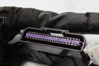 Kabelboom, hoofdkabelboom, zekering, connector KTM Duke 690 690DUKE 08-09