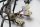 Kabelboom, hoofdkabelboom, zekering, connector KTM Duke 690 690DUKE 08-09