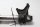 Front left fork leg, shock absorber, hydraulic damper KTM Duke 690 690DUKE 08-09