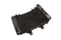 Vandkøler køleradiator vandkølerholder KTM Duke 690 690DUKE 08-09