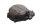 Cache-alternateur, cache-moteur droit, alternateur Kawasaki ZX-6R Ninja ZX600G 98-99