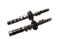 Camshaft, control shaft, gear, valve train Honda CB 900 FB Boldor SC01/81 81-81