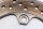 Bakre bromsskiva, borrad, monteringsbultar Kawasaki ZX-6R Ninja ZX600G 98-99