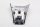 Porte-bagages/porte-valises chromé Vespa/Piaggio Primavera 50 i.e 3V i-Get S 26-26