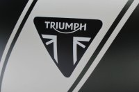 Kraftstofftank Benzintank matt khaki weiß Triumph Tiger 1200 XCA Explorer 21-21