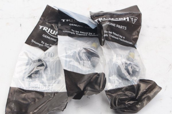 Schlauchset Tankentlüftung Spülventil Kraftstofftank T2403857 Triumph universell